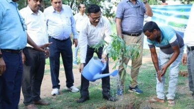 BSL का व्यापक वृक्षारोपण अभियान