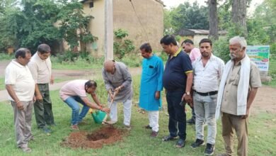 🌱 विश्व पर्यावरण दिवस पर स्वदेशी जागरण मंच द्वारा पौधारोपण कार्यक्रम आयोजित