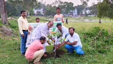 विश्व पर्यावरण दिवस पर पौधारोपण करते स्वदेशी जागरण मंच के पदाधिकारी और कार्यकर्ता
