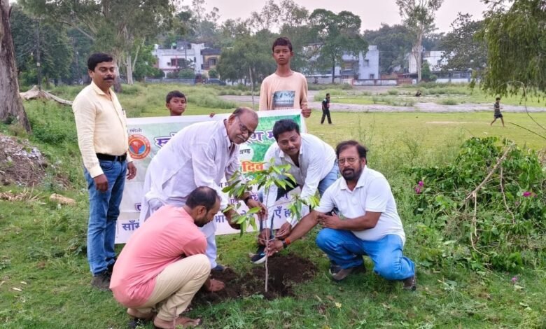 विश्व पर्यावरण दिवस पर पौधारोपण करते स्वदेशी जागरण मंच के पदाधिकारी और कार्यकर्ता