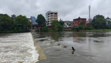 बोकारो के भर्रा पुल के ऊपर से बहता गरगा नदी का पानी